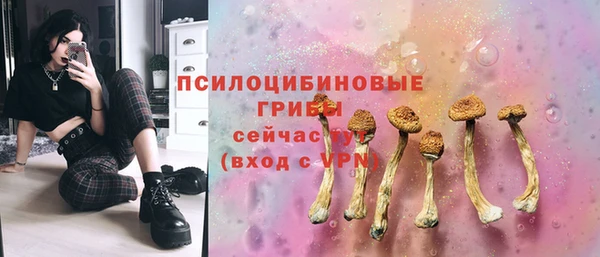дурь Заволжье