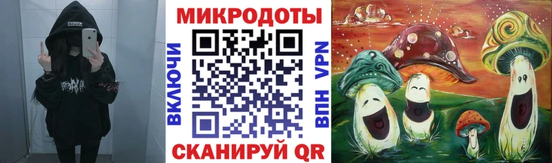 Галлюциногенные грибы мухоморы  Купить закладки  Касли 